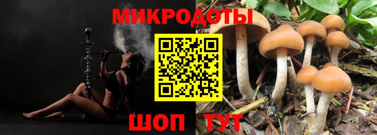 Псилоцибиновые грибы прущие грибы Батайск
